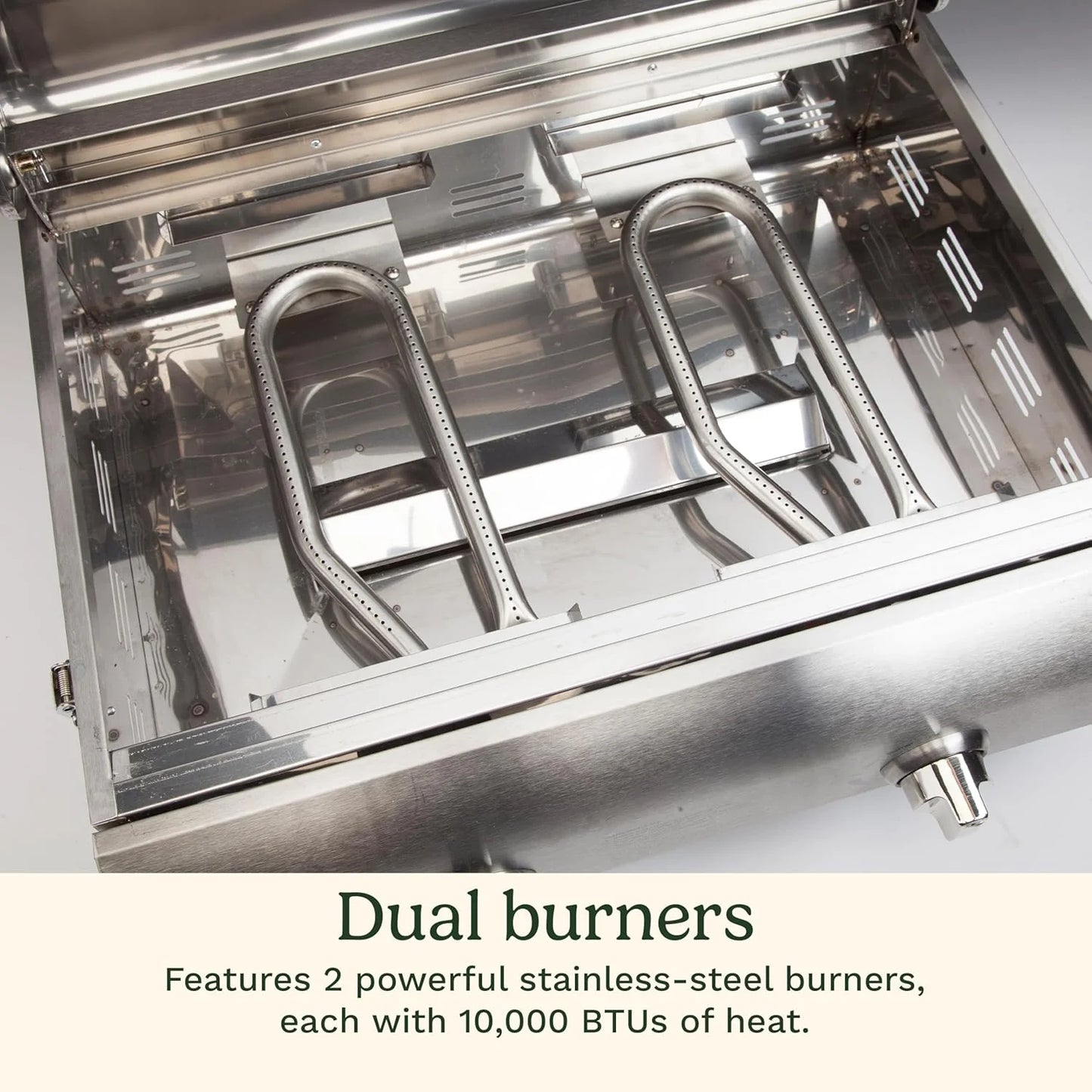 Cuisinart Chef's Style Tabletop Portable Propane Grill, 20,000 BTU Stainless Steel 2-Burner