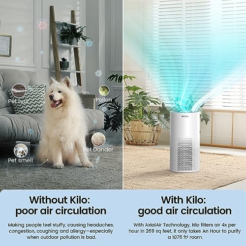 Afloia Air Purifiers for Home Large Room Up to 1076 Ft, H13 True HEPA Air Purifiers for Bedroom