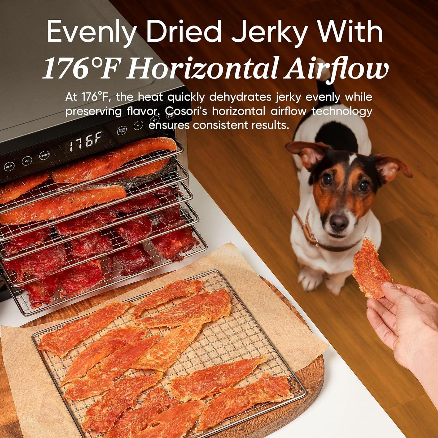 COSORI Food Dehydrator Bigger Than 7 Trays With Large 6.5" Drying Space 600W Power