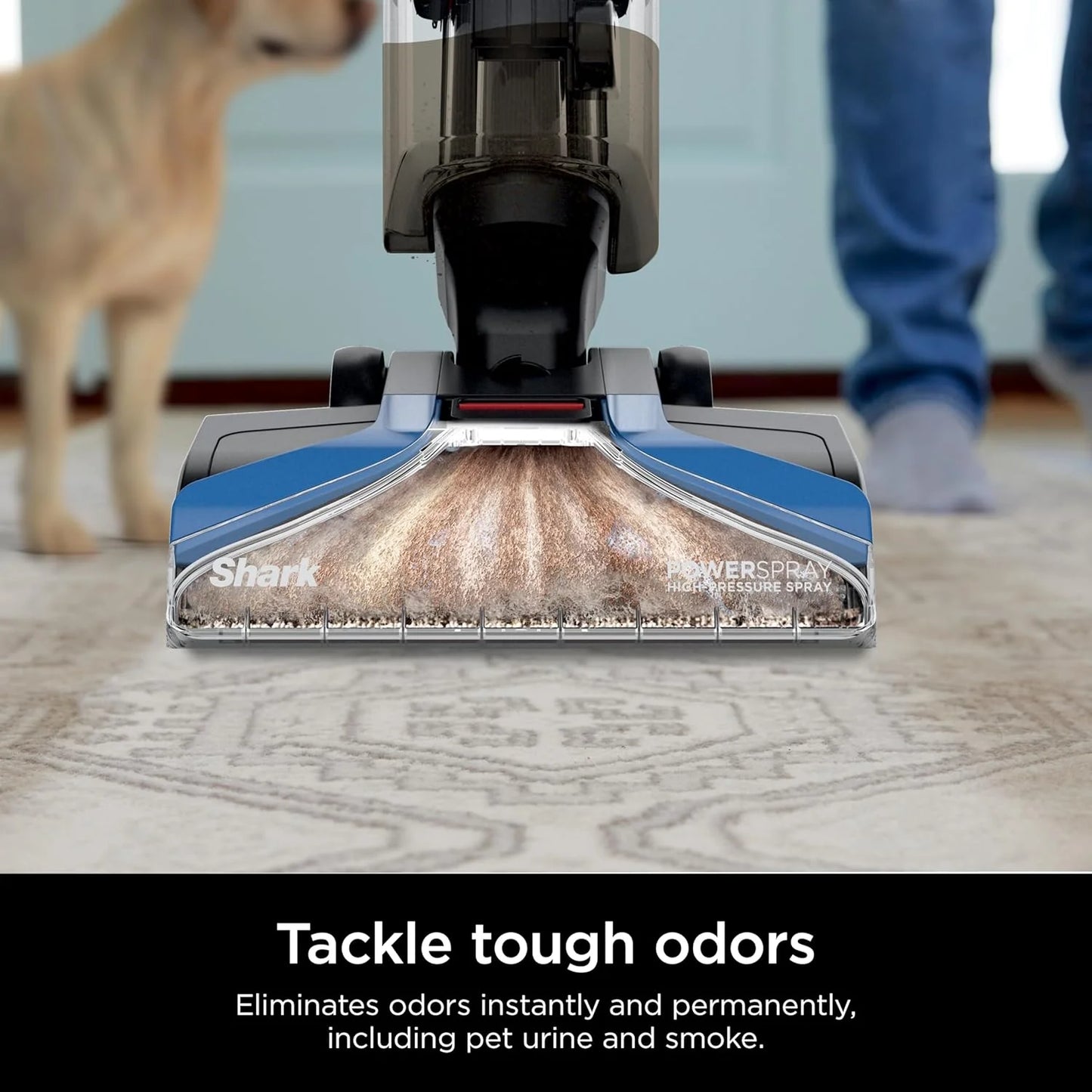 Shark CarpetXpert EX201 Carpet Cleaner, Cyan – Deep Cleaning with StainStriker, Perfect for Pets, Includes Spot & Stain Remover Tools