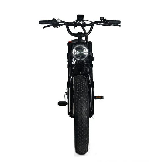 Electric Mountain Bike for Adults | 20 x 4.0 Fat Tires, 1000W Motor, 48V 20Ah Removable Battery, Max Speed 45MPH, Shi Mano 7-Speed for Off-Road Adventures